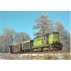 Pohlednice, Motorová lokomotiva 742 156-3 U Červeného Potoka, Letohradský železniční klub 2022119